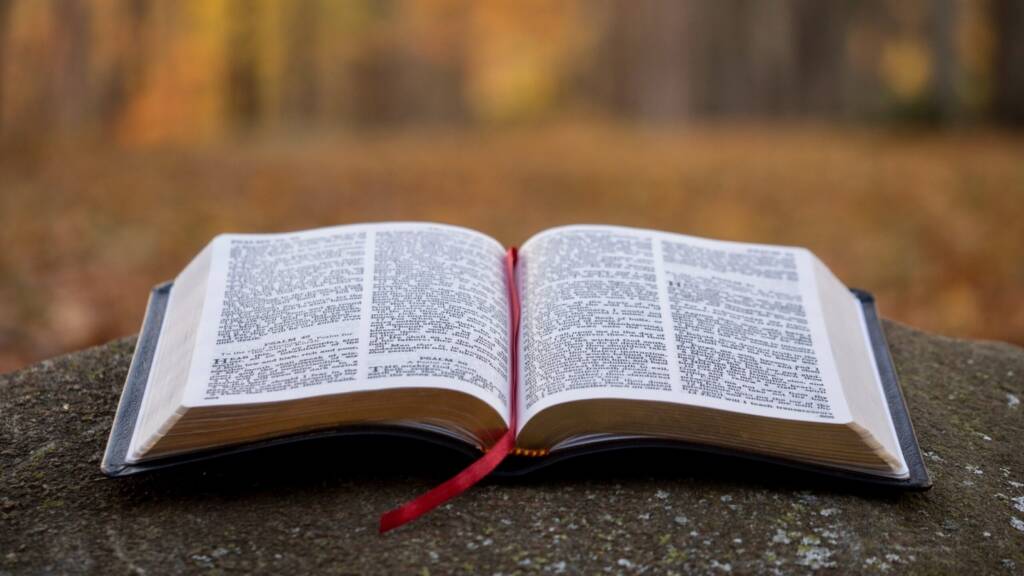 La Biblia